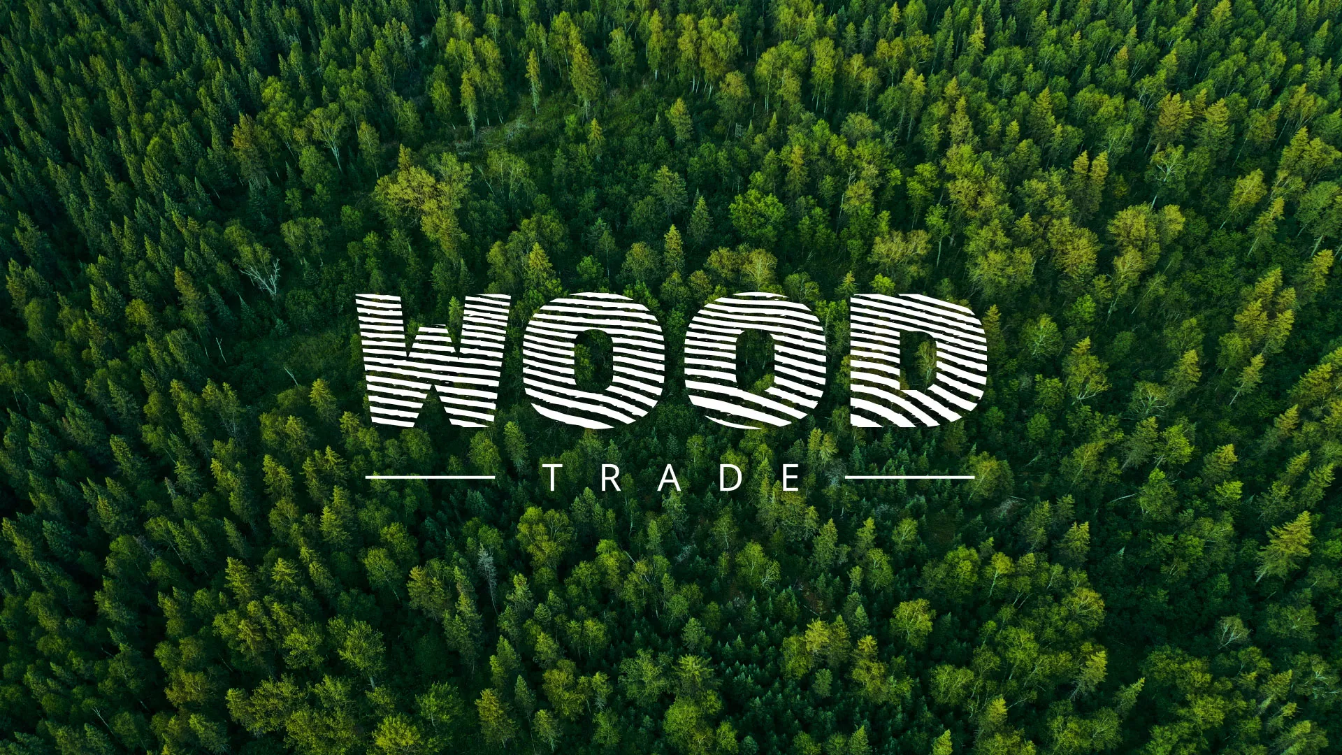 Разработка интернет-магазина компании «Wood Trade» в Северобайкальске