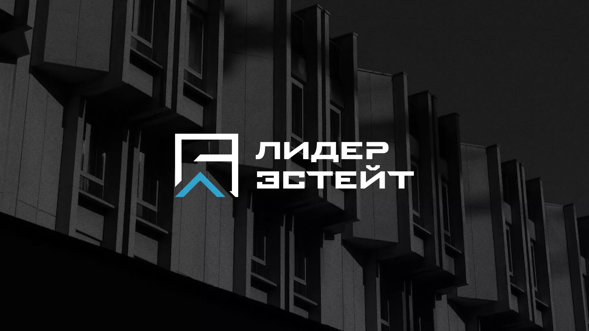 Разработка логотипа агентства недвижимости «Лидер Эстейт» в Северобайкальске